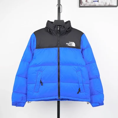 TNF 1996 Classic Down Jacket