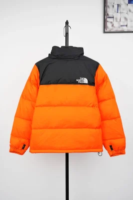 TNF 1996 Classic Down Jacket