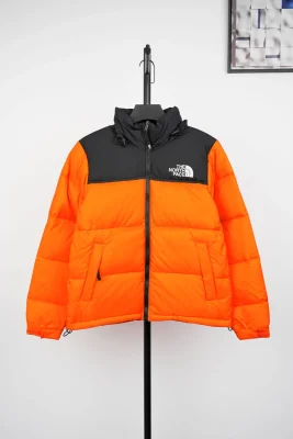 TNF 1996 Classic Down Jacket