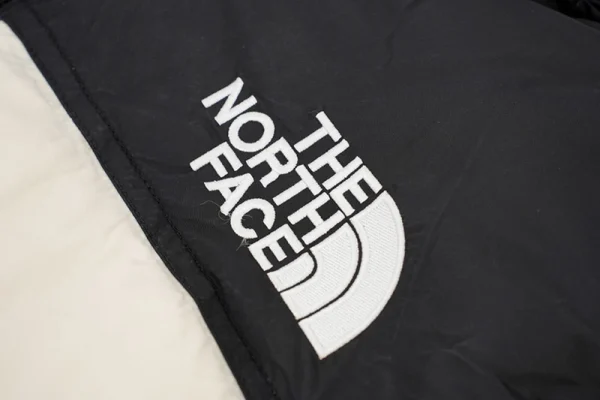 TNF 1996 Classic Down Jacket