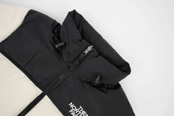 TNF 1996 Classic Down Jacket