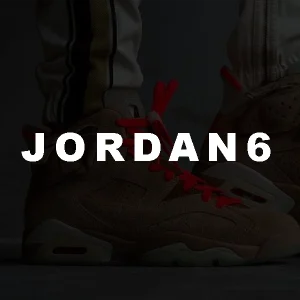 Jordan 6