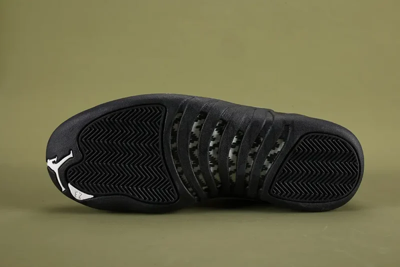 the black sole