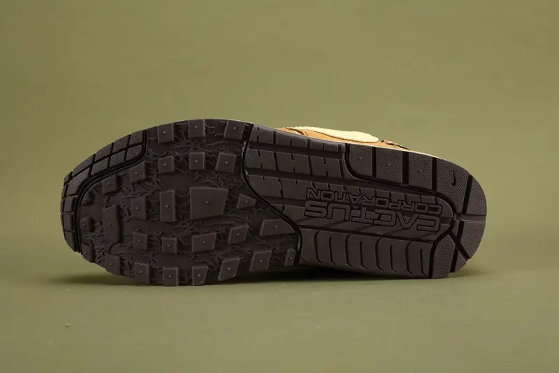 the dark brown sole