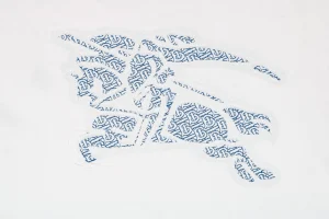 Back side print