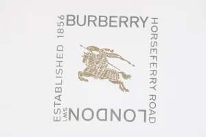 Front side Logo print White