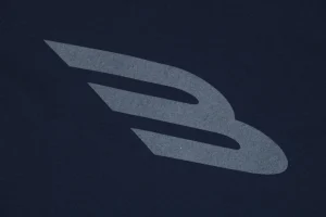 3B logo print