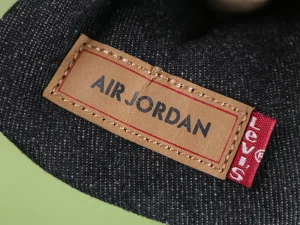 Air Jordan logo tag