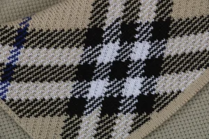 BBry Check Collar Polo Shirt6.jpeg