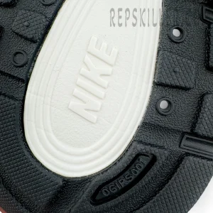 Nike P-6000 Silver - Black2.jpg