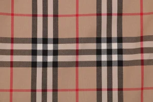 BBry Side Panel Vintage Check Pants5.jpeg
