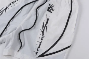 Hellstar Studios Path to Paradise Flame Logo Shorts7