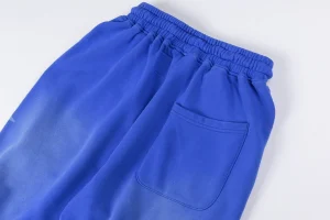 Hellstar Blue Racing Graphic Pants10