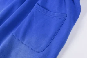 Hellstar Blue Racing Graphic Pants8