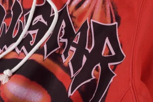 Hellstar Studios Skull Flame Vintage Hoodie2