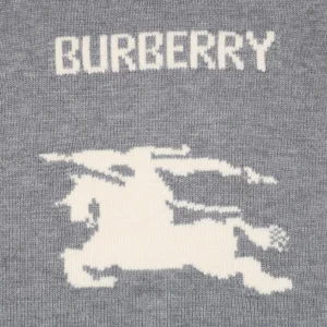 Front side Logo Grey