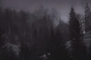 TNF Misty Forest Hooded Jacket2.jpeg