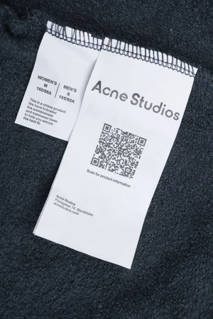 Acne Studios 1996 Distressed Lettering Hoodie1.jpeg