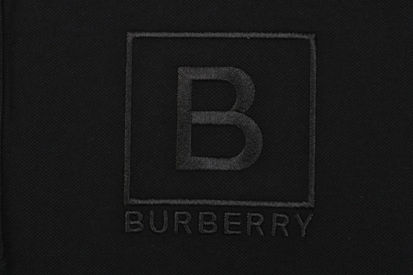 BBry Embroidered Box B Logo Polo T-shirt14.jpeg