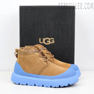 Neumel Weather Hybrid 'Chestnut Big Sky'