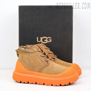 Neumel Weather Hybrid 'Chestnut Orange'