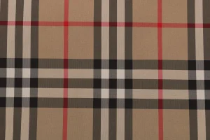 BBry Check Reversible Hooded Jacket – Snap Button Version