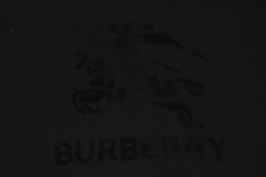 BBry Terry-Embroidered Knight Hoodie Black Front Brand