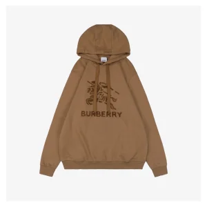 BBry Terry-Embroidered Knight Hoodie Brown Front view