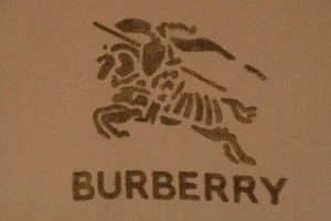 BBry Terry-Embroidered Knight Hoodie Brown Front Brand