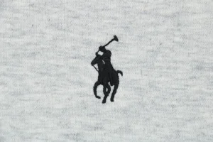 Ralph Lauren Embroidered Pony Zip-Up Hoodie Brand