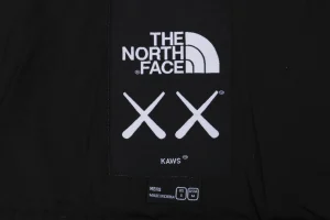 The North Face x KAWS 1996 Retro Nuptse Down Jacket Black Brand label