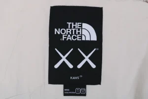 The North Face x KAWS 1996 Retro Nuptse Down Jacket Grey Brand label