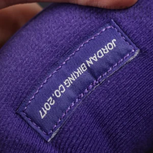 Close-up of interior tongue tag reading “JORDAN BIKING CO. 2017” on the Nigel Sylvester x Jordan 4 Purple.