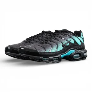 Air Max Plus 'Black Dusty Cactus'