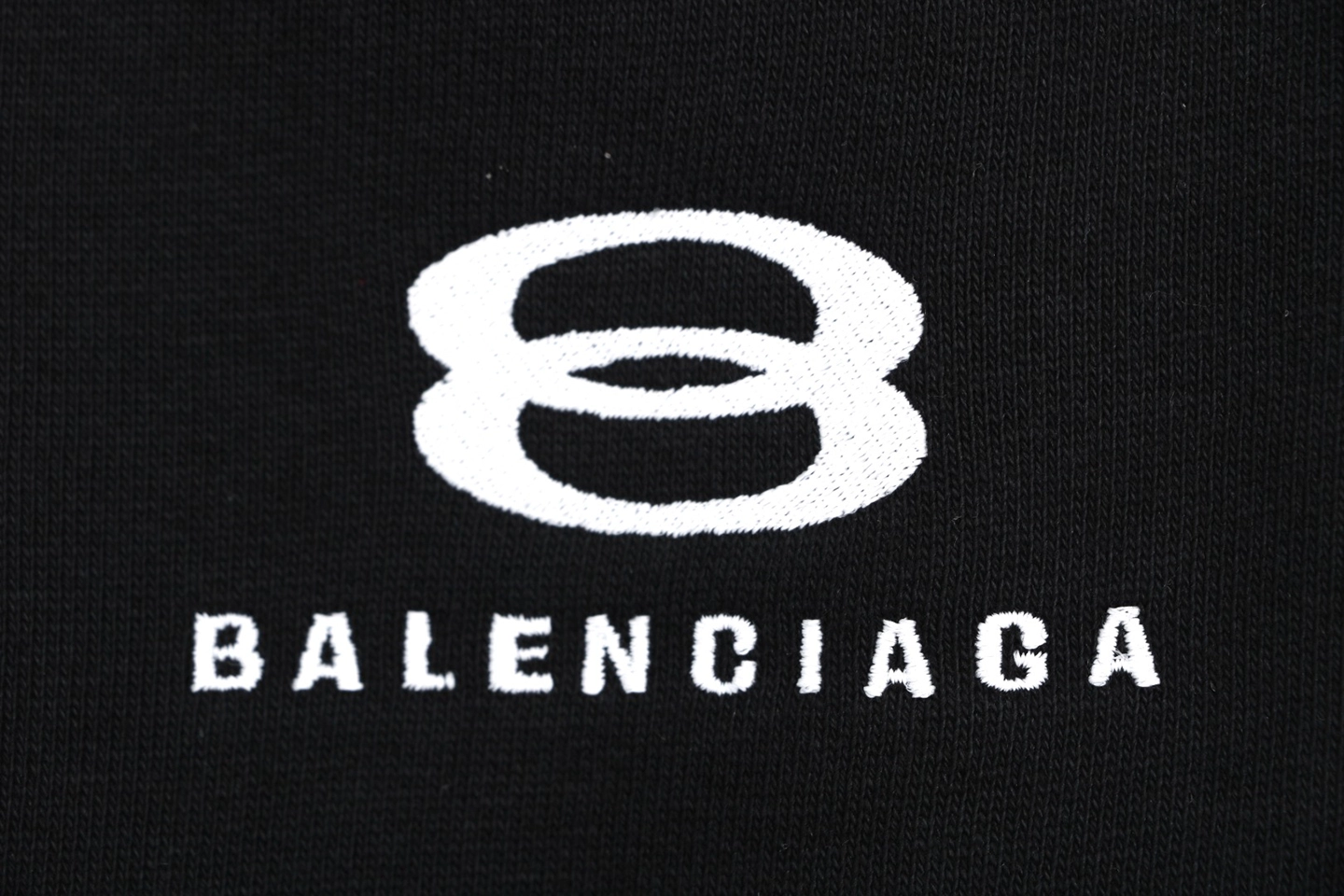 Balenciaga Colorblock Wide-Leg Runway Pants Brand Print