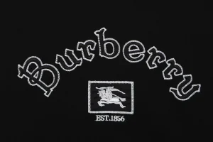 Burberry Box Logo Equestrian Knight Embroidered Hoodie Front Brand