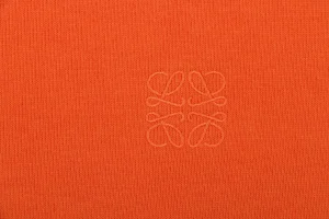 Loewe Color-Block Striped Polo Sweatshirt Orange Brand