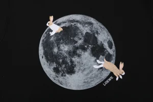 Loewe Moon Rabbit Embroidered Hoodie Front Print