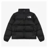 TNF 1996 Retro Nuptse Down Jacket