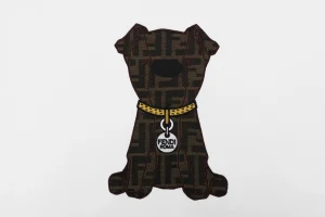 Fendi Monogram Dog Embroidered T-Shirt White Front Print