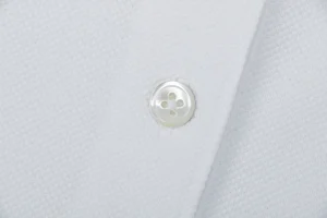 Miu Miu Logo Embroidered Cotton Polo Shirt White Button