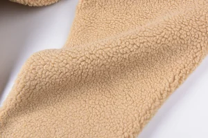 Sp5der Beige Sherpa Fleece Pants4