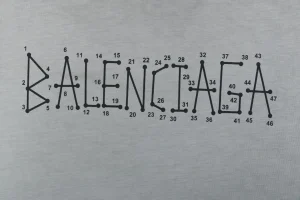 Balenciaga Coordinate Logo Graphic Cotton T-Shirt Grey Front Brand