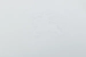 Burberry Check Panel Equestrian Knight Embroidered T-Shirt White Brand