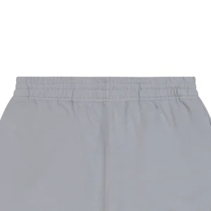 Burberry Equestrian Knight Logo Sweat Shorts Grey