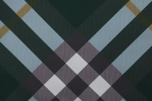 Burberry Vintage Check Mesh-Lined Nylon Shorts Green