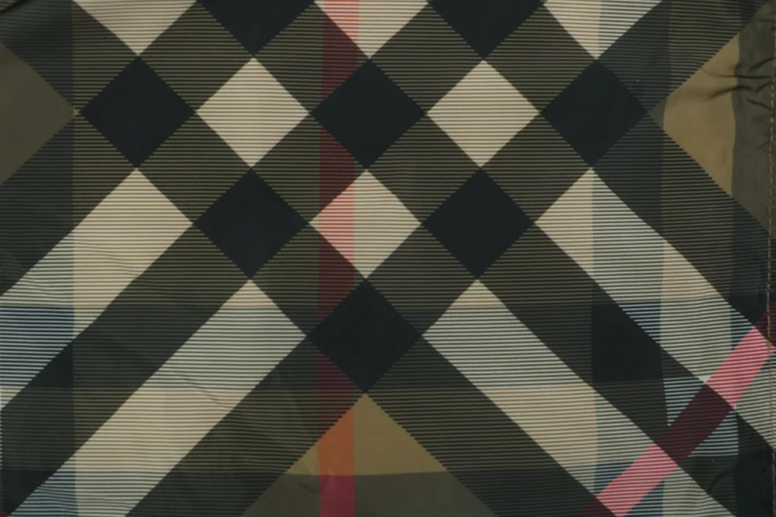 Burberry Check Hooded Jacket
