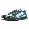 Kobe 5 Protro 'EYBL Academy' PE